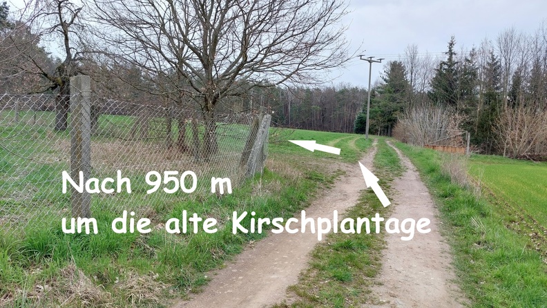 007.950.jpg