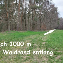 Raschützlauf Strecken