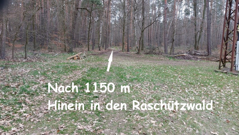 009.1150.jpg
