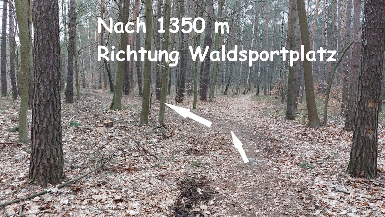 011.1350.jpg