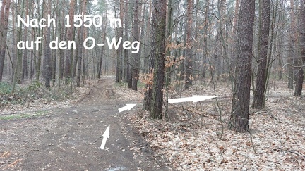 016.1550