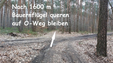 017.1600