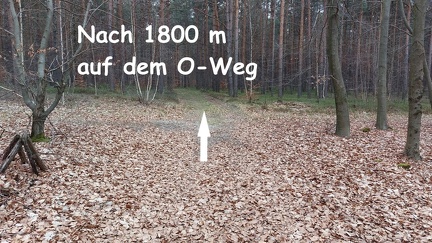 018.1800