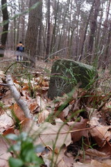 2023 0318 01384200 (FILEminimizer)