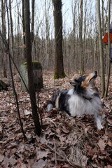 2023 0318 01385800 (FILEminimizer)