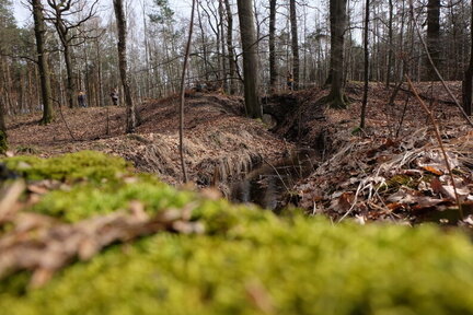 2023 0318 01391100 (FILEminimizer)