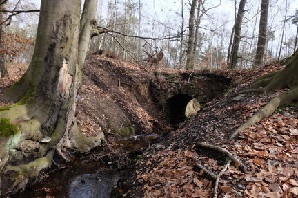 2023 0318 01391700 (FILEminimizer)