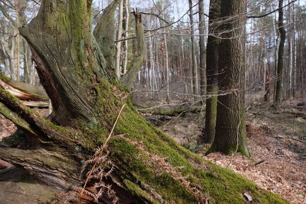 2023 0318 01392000 (FILEminimizer)