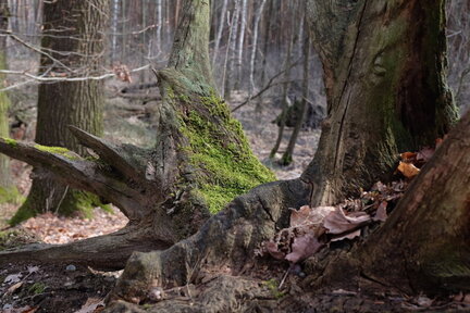 2023 0318 01392600 (FILEminimizer)