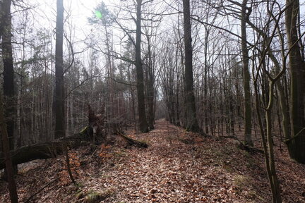 2023 0318 01393600 (FILEminimizer)