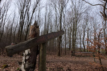 2023 0318 01404800 (FILEminimizer)