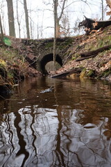 2023 0319 04201900 (FILEminimizer)