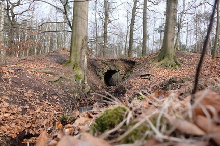 2023 0319 04204700 (FILEminimizer)