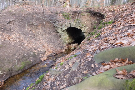 2023 0319 04205000 (FILEminimizer)