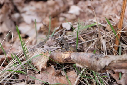 2023 0319 04211700 (FILEminimizer)