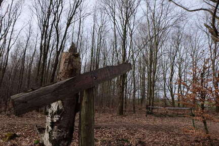 PhotoRetouch1679174623653 (FILEminimizer)