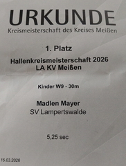 IMG-20260315-WA0013 (FILEminimizer)