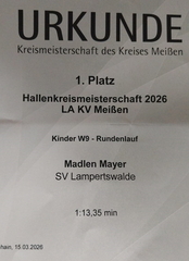 IMG-20260315-WA0015 (FILEminimizer)
