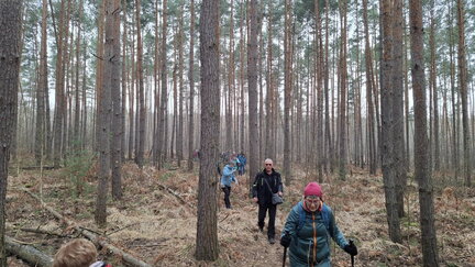 20260321 110552 (FILEminimizer)