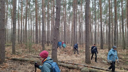 20260321 110603 (FILEminimizer)