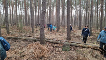 20260321 110606 (FILEminimizer)