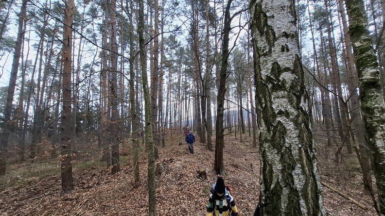 20260321_124607 (FILEminimizer).jpg