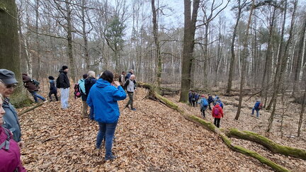 20260321 125037 (FILEminimizer)