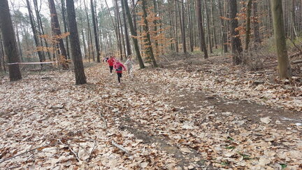 20260402 104631 (FILEminimizer)