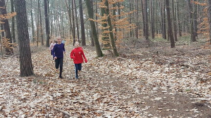 20260402 105847 (FILEminimizer)