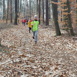 02.04.26 Cross Grundschule