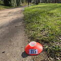 IMG-20260416-WA0001 (FILEminimizer)